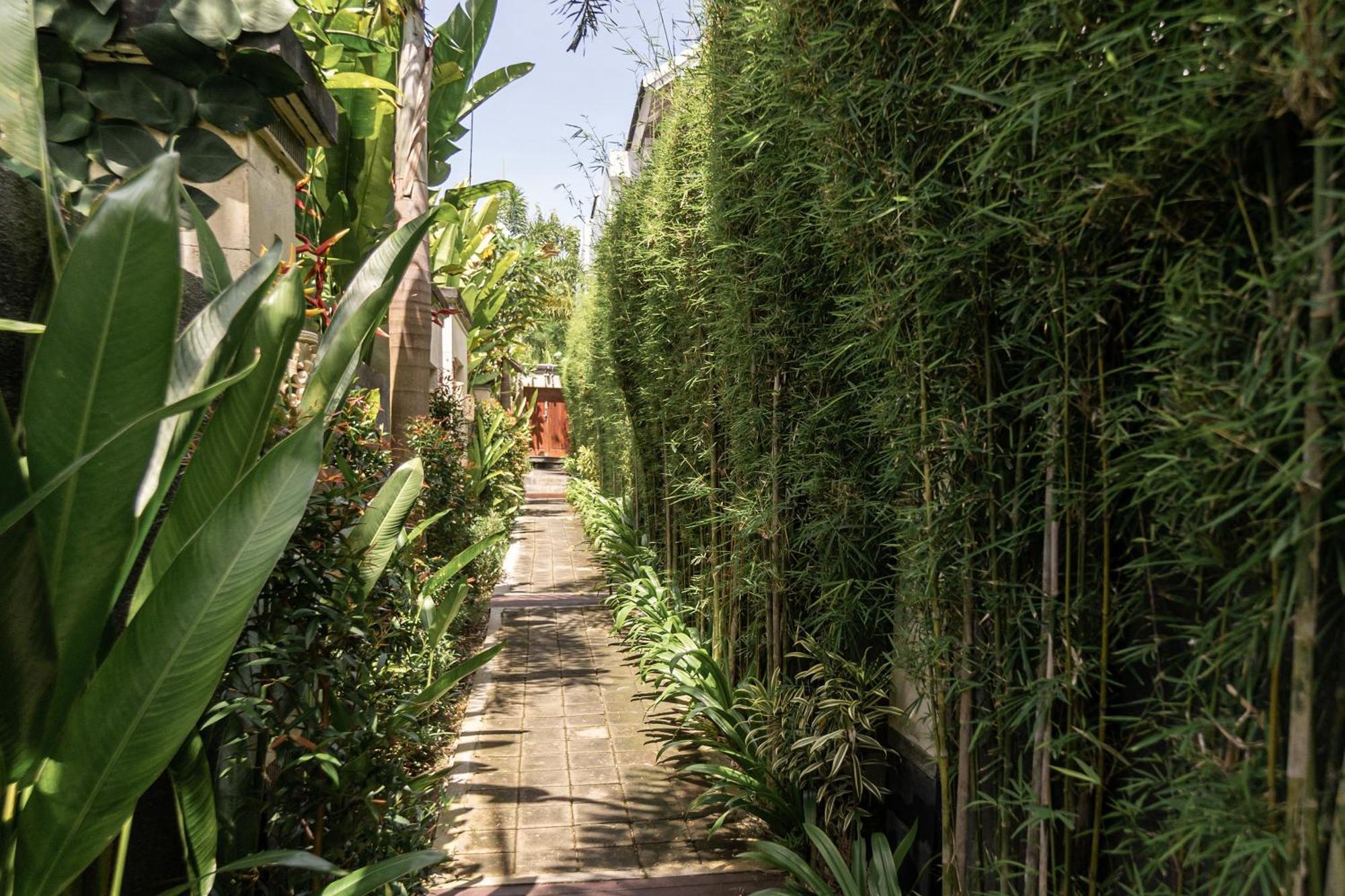 Belle Asana Villa Canggu Eksteriør bilde